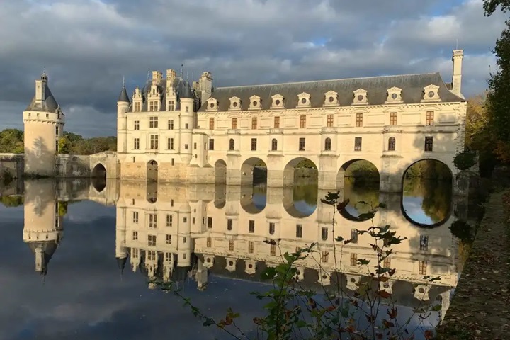 加盟Purple Lavender，尊享法國洗護奢華