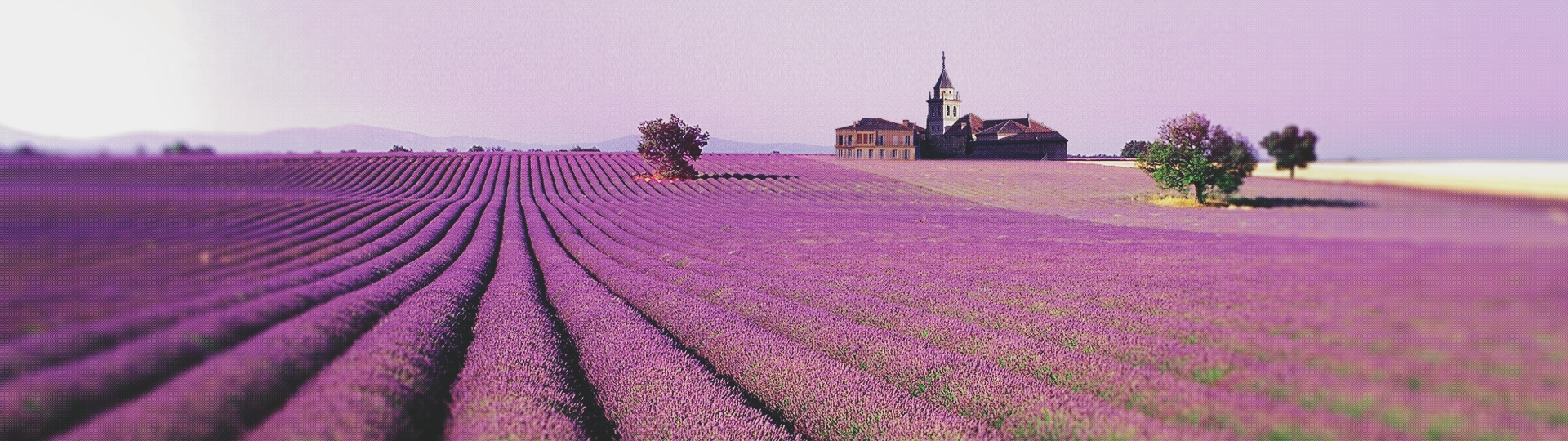 洗護(hù)品牌聯(lián)系我們